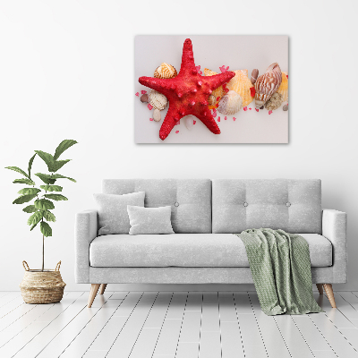 Quadro vetro acrilico Stelle marine e conchiglie