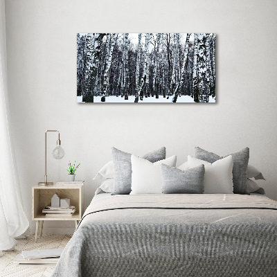 Quadro vetro acrilico Betulle in inverno