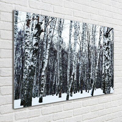 Quadro vetro acrilico Betulle in inverno