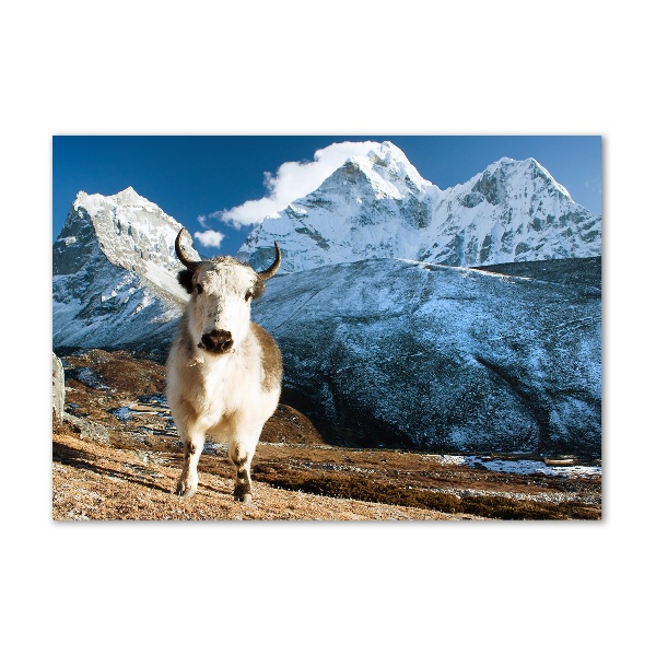 Quadro in vetro acrilico Come le montagne