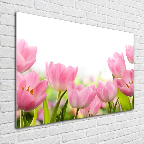 Quadro su vetro acrilico Giardino rosa