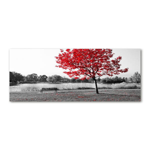 Quadro vetro acrilico Albero rosso