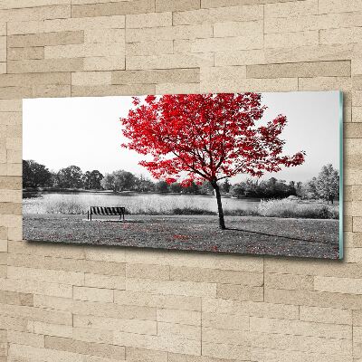 Quadro vetro acrilico Albero rosso