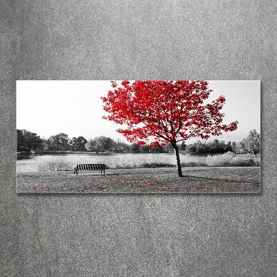 Quadro vetro acrilico Albero rosso