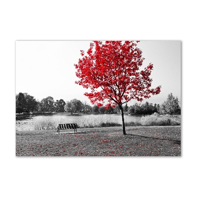 Quadro vetro acrilico Albero rosso