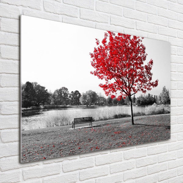 Quadro vetro acrilico Albero rosso