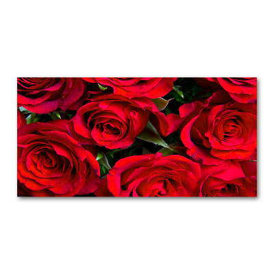 Quadro vetro acrilico Rose rosse