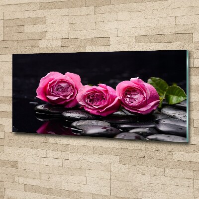 Quadro su vetro acrilico Rose rosa