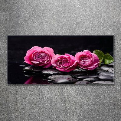 Quadro su vetro acrilico Rose rosa