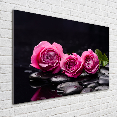 Quadro su vetro acrilico Rose rosa
