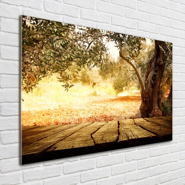 Quadro in vetro acrilico Olivo