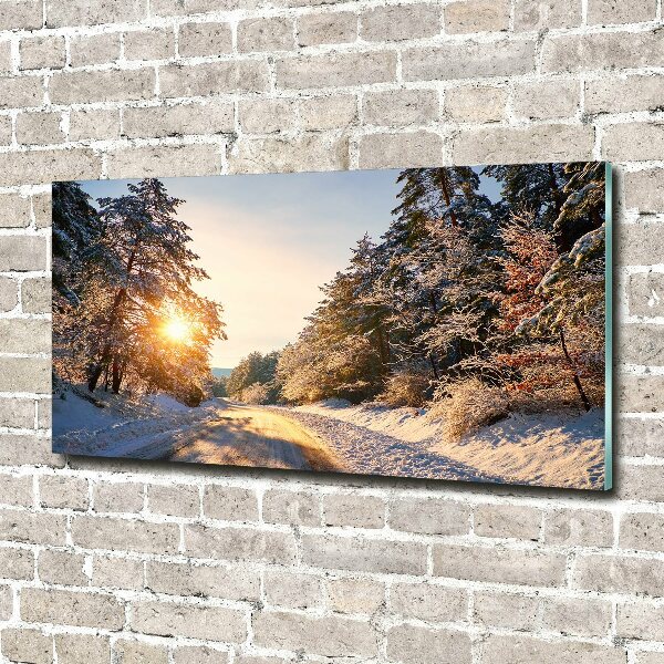 Quadro vetro acrilico Una strada nella foresta in inverno