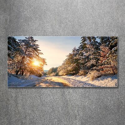 Quadro vetro acrilico Una strada nella foresta in inverno