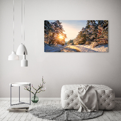 Quadro vetro acrilico Una strada nella foresta in inverno