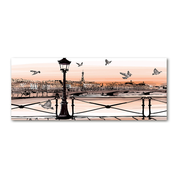 Quadro in vetro acrilico Crepuscolo a Parigi