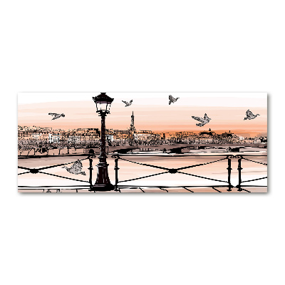 Quadro in vetro acrilico Crepuscolo a Parigi