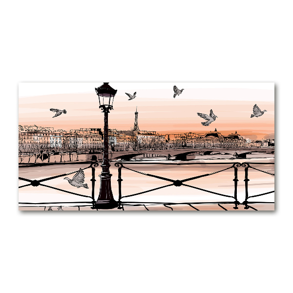 Quadro in vetro acrilico Crepuscolo a Parigi