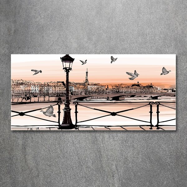 Quadro in vetro acrilico Crepuscolo a Parigi