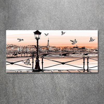 Quadro in vetro acrilico Crepuscolo a Parigi