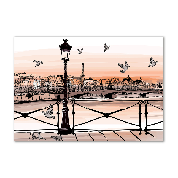 Quadro in vetro acrilico Crepuscolo a Parigi