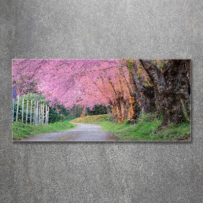 Quadro in vetro acrilico Fiori di ciliegio