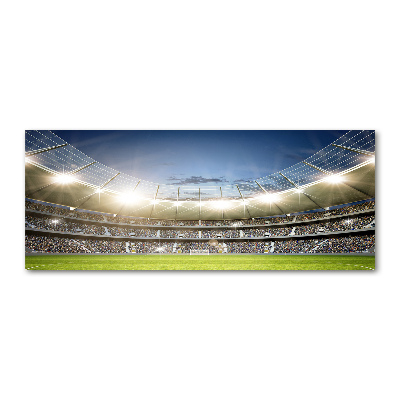 Quadro su vetro acrilico Stadio