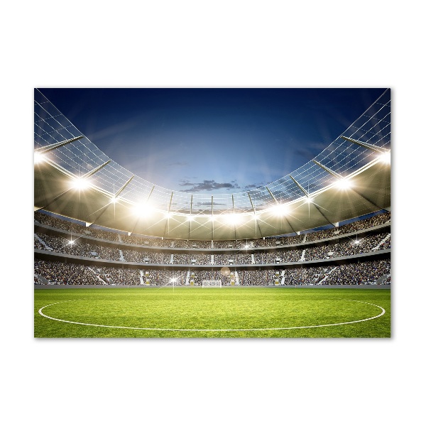 Quadro su vetro acrilico Stadio
