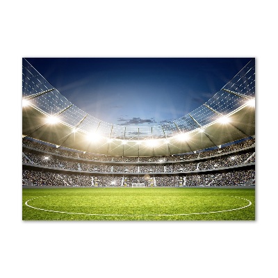 Quadro su vetro acrilico Stadio