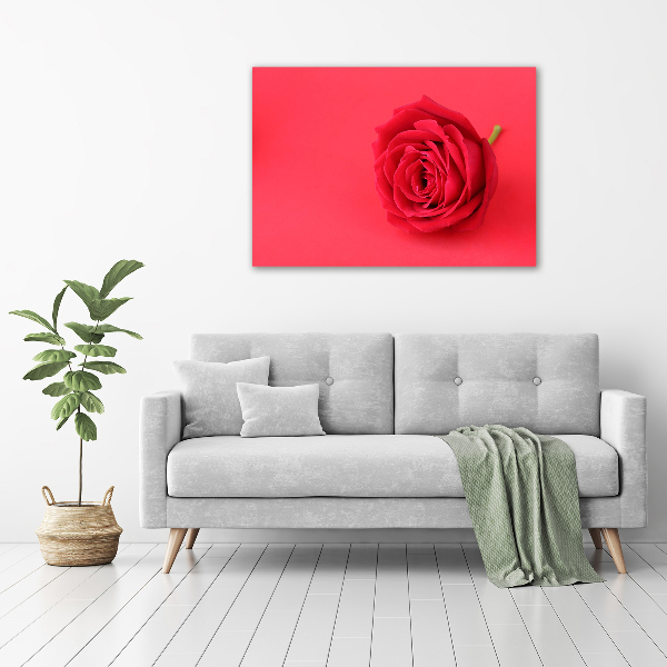 Quadro su vetro acrilico Rosa rossa