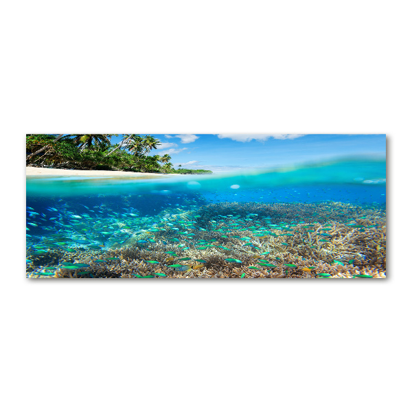 Quadro vetro acrilico Barriera corallina