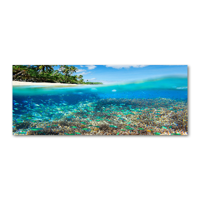 Quadro vetro acrilico Barriera corallina