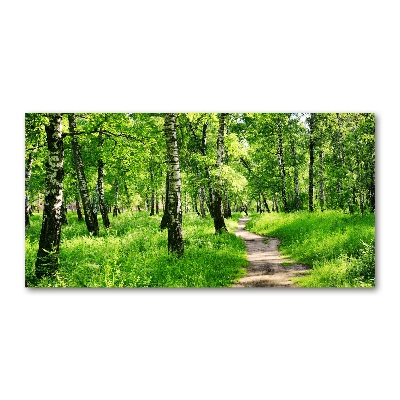 Quadro su vetro acrilico Foresta di betulle