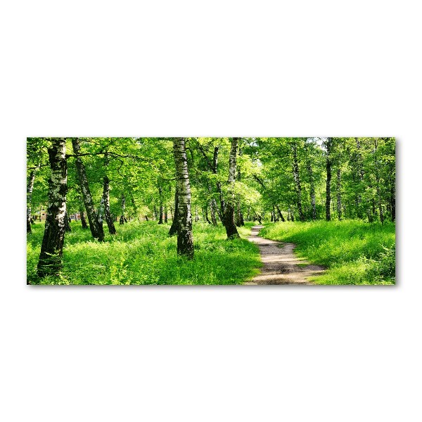 Quadro su vetro acrilico Foresta di betulle