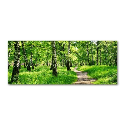 Quadro su vetro acrilico Foresta di betulle