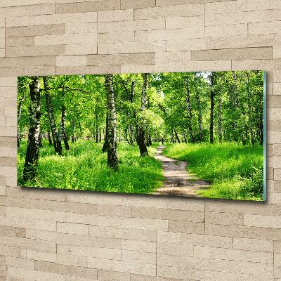 Quadro su vetro acrilico Foresta di betulle