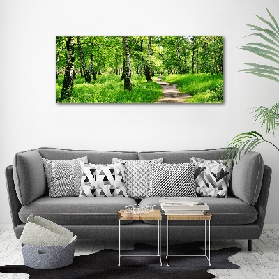 Quadro su vetro acrilico Foresta di betulle