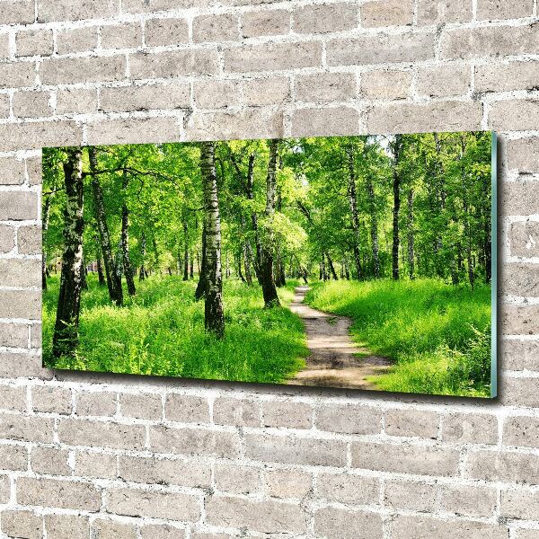 Quadro su vetro acrilico Foresta di betulle