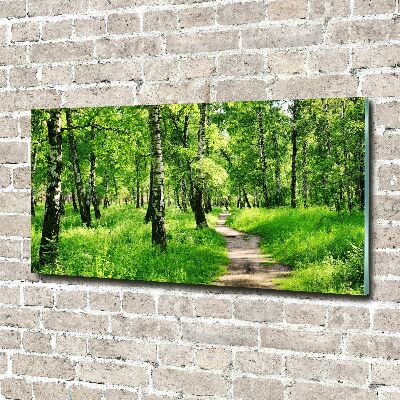 Quadro su vetro acrilico Foresta di betulle