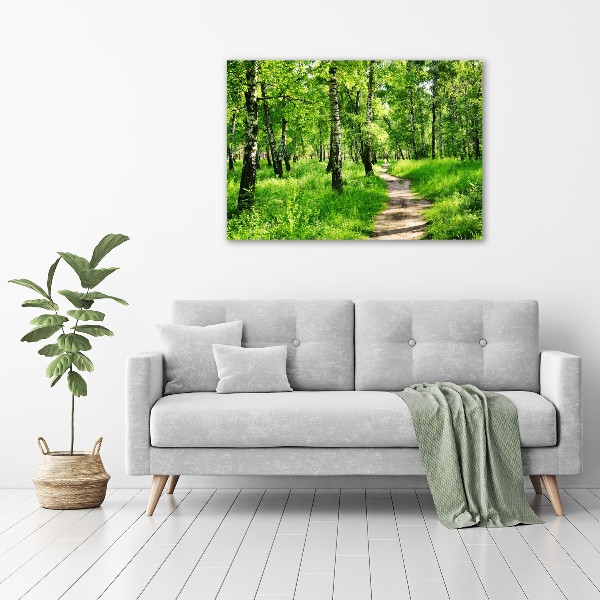 Quadro su vetro acrilico Foresta di betulle