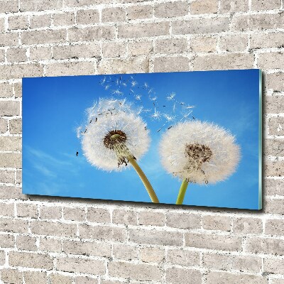 Quadro vetro acrilico Denti di leone