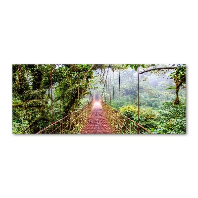 Quadro su vetro acrilico Un ponte ai tropici