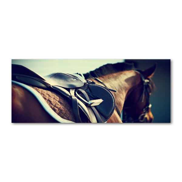 Quadro in vetro acrilico Sella con staffe