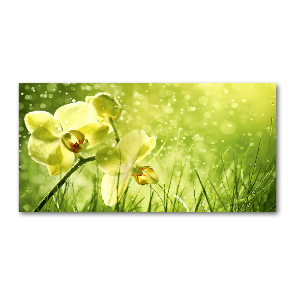 Quadro in vetro acrilico Orchidea