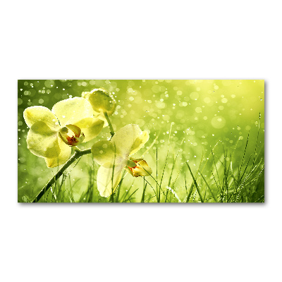 Quadro in vetro acrilico Orchidea