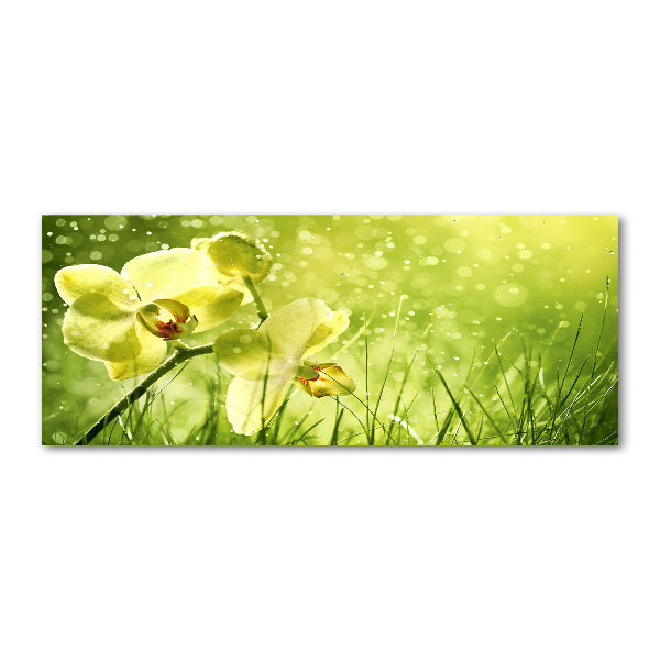 Quadro in vetro acrilico Orchidea