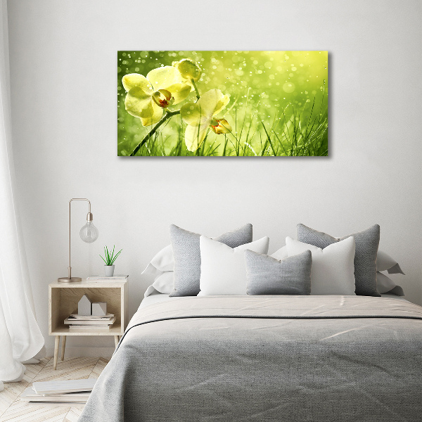 Quadro in vetro acrilico Orchidea