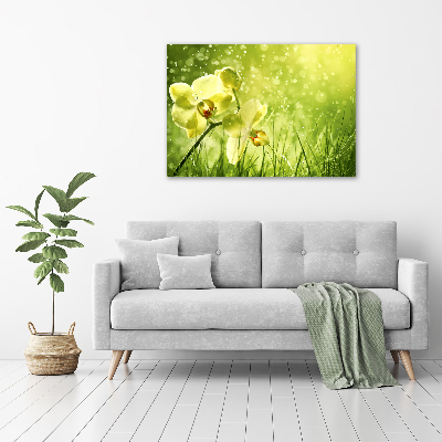 Quadro in vetro acrilico Orchidea