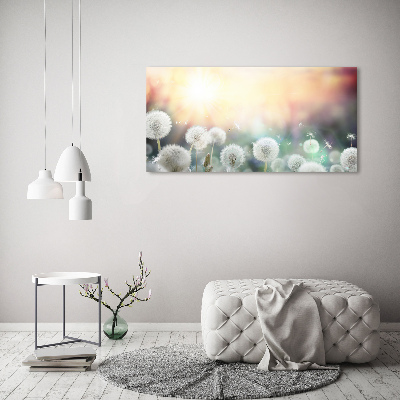 Quadro su vetro acrilico Campo di tarassaco