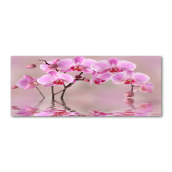 Quadro vetro acrilico Orchidea rosa