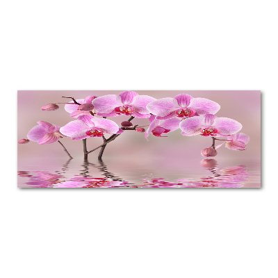 Quadro vetro acrilico Orchidea rosa